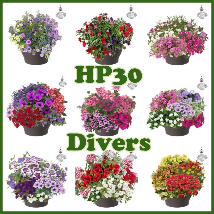 [700S3273V] HP30 XXL Mix divers