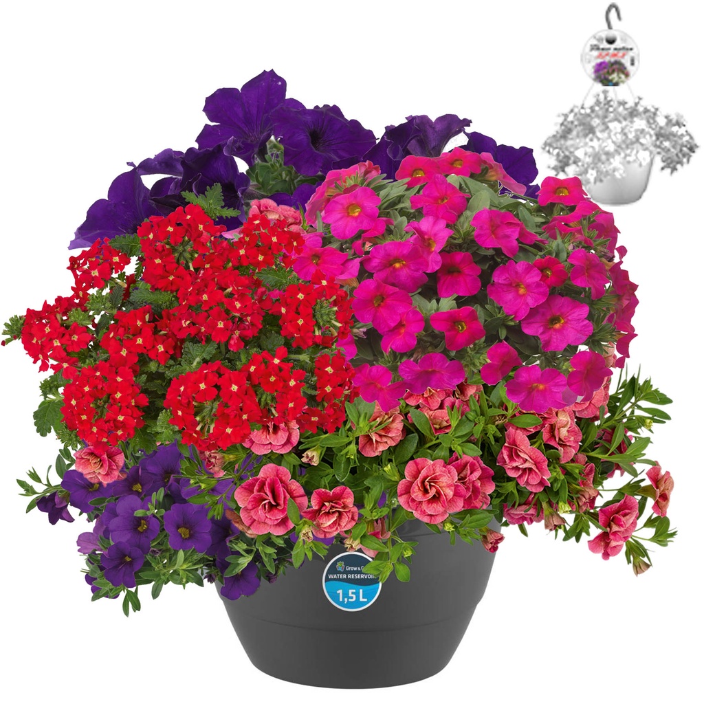 [1306S2177V] Hp27 multi Mix 05